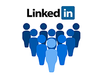 LinkedIn Paid Campaign Management