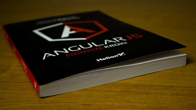 angular js framework