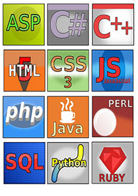 web development programming languages