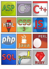 Top 4 Programming Languages to Master: For an Effective Web Development