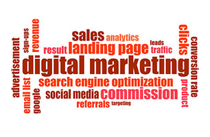 Investing in an Indian Digital Marketing Firm