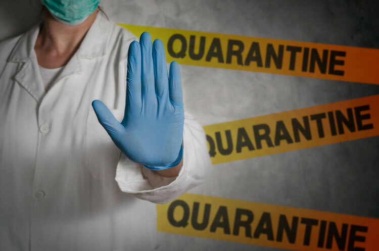 Don’t Let Your SEO Marketing Plans be in Quarantine